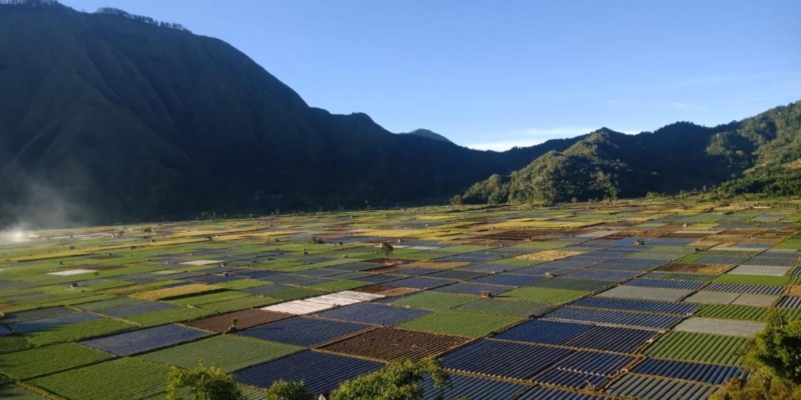 Rinjani Hill Hotel Sembalunlawang Εξωτερικό φωτογραφία