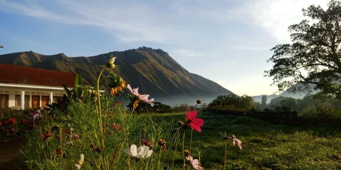 Rinjani Hill Hotel Sembalunlawang Εξωτερικό φωτογραφία
