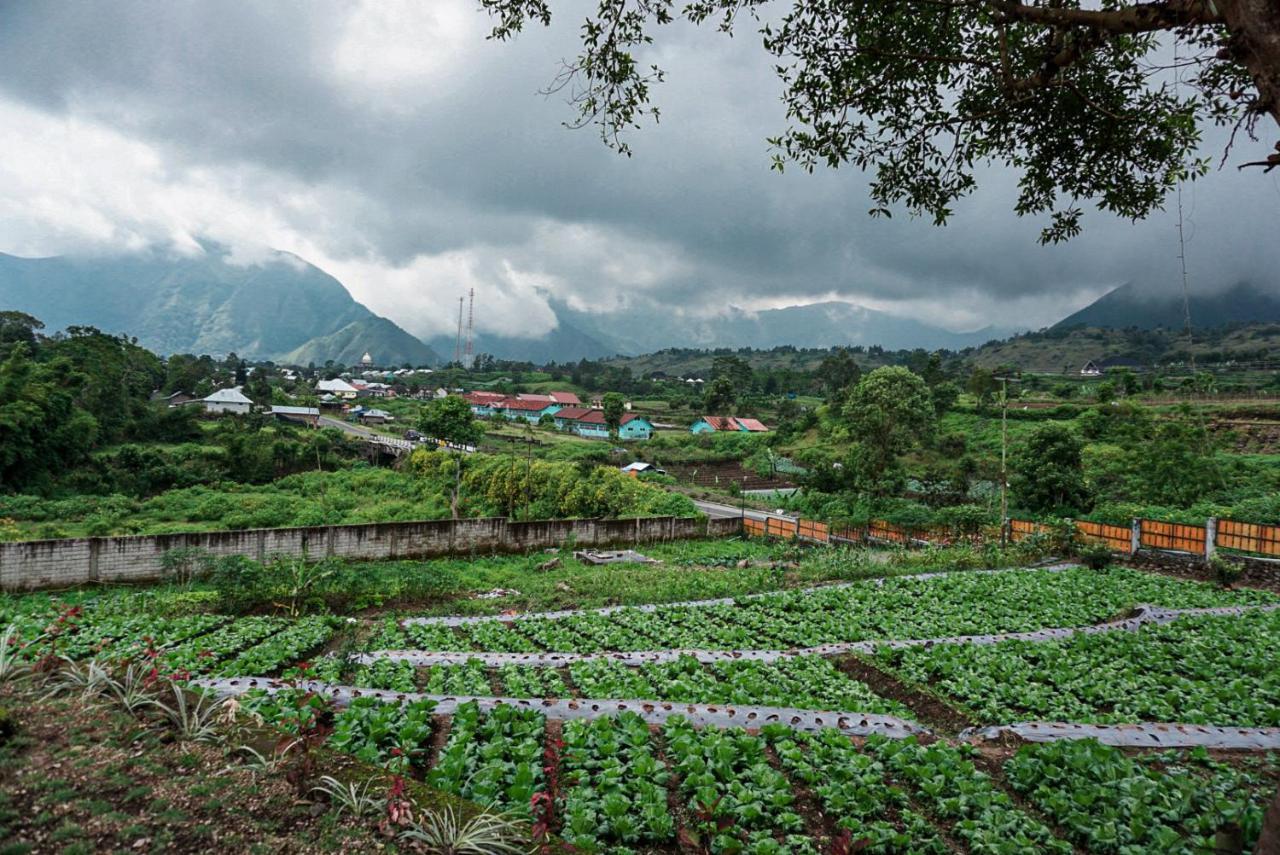 Rinjani Hill Hotel Sembalunlawang Εξωτερικό φωτογραφία