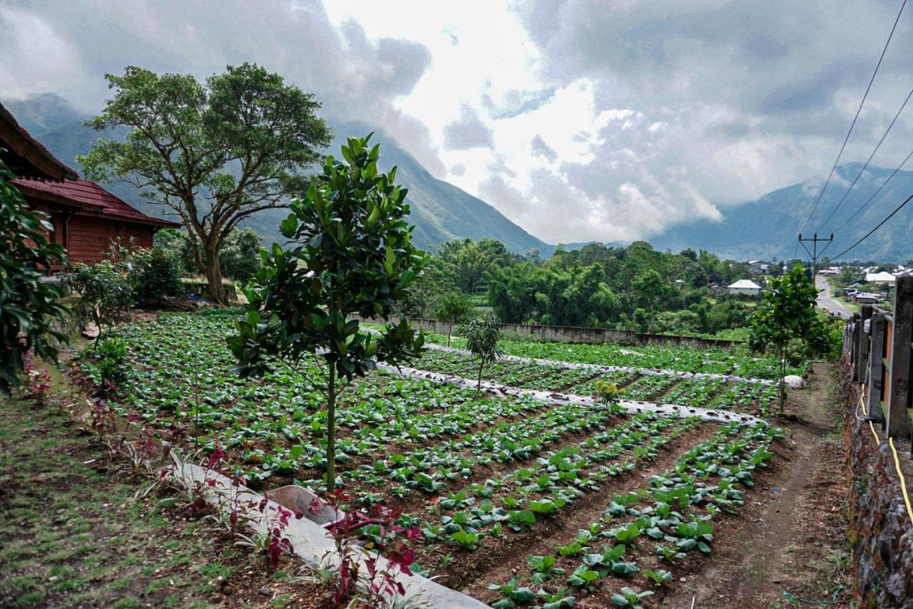Rinjani Hill Hotel Sembalunlawang Εξωτερικό φωτογραφία
