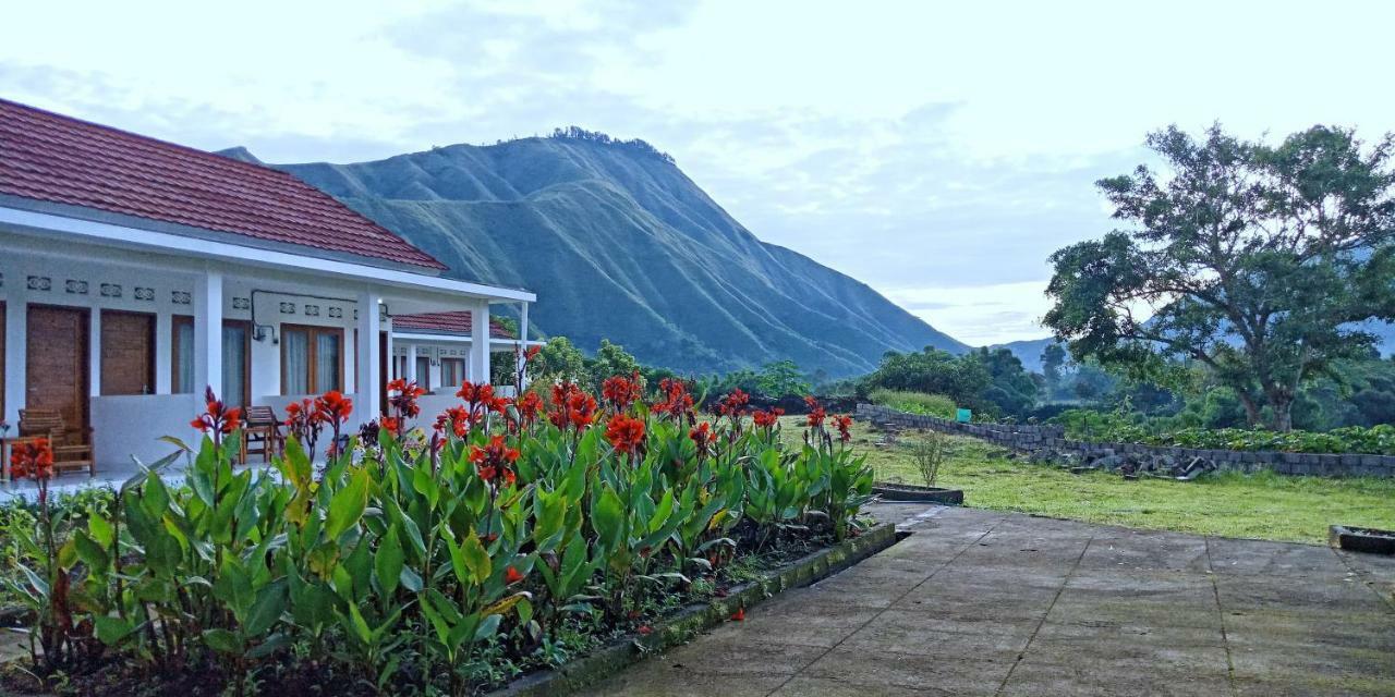 Rinjani Hill Hotel Sembalunlawang Εξωτερικό φωτογραφία
