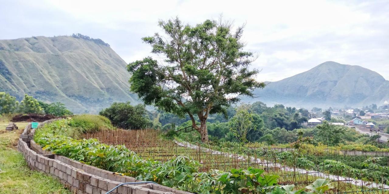 Rinjani Hill Hotel Sembalunlawang Εξωτερικό φωτογραφία